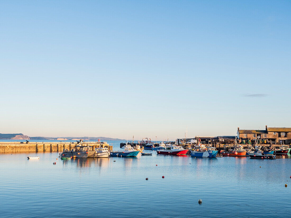 Festgemachte Boote am Abend, der Hafen, Lyme Regis, Dorset, England, Vereinigtes Königreich, Europa