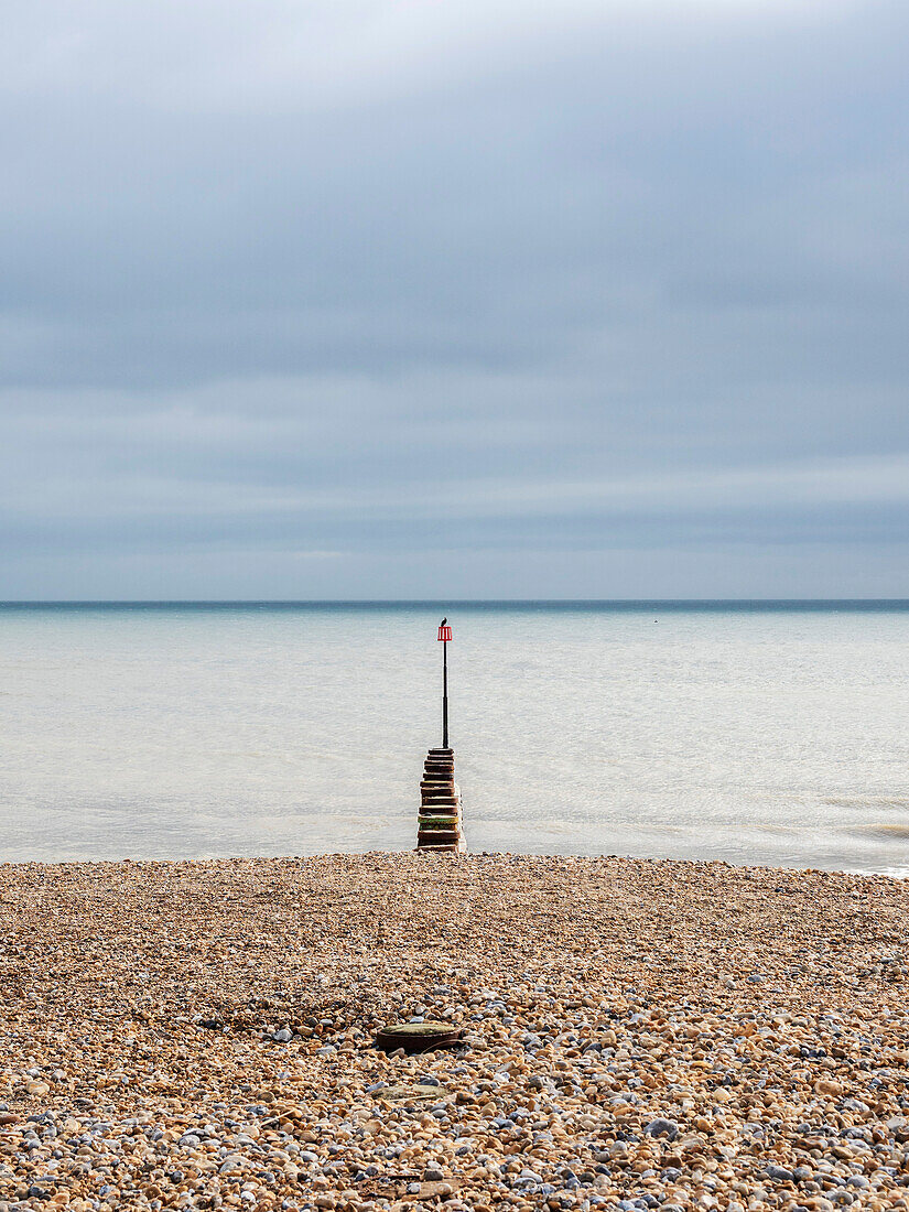 Vogel auf Markierungspfahl, The Beach, Eastbourne, East Sussex, England, Vereinigtes Königreich, Europa