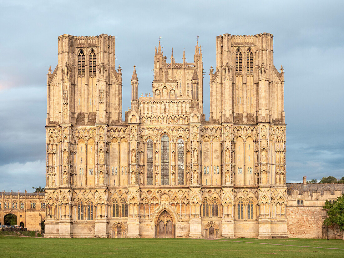 Evening light on the West Front, Wells Cathedral, Wells, Somerset, England, United Kingdom, Europe\n