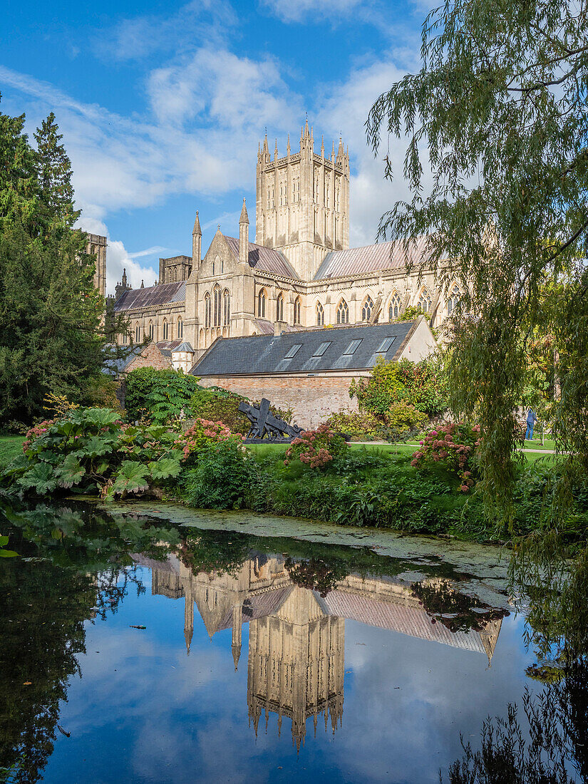 Reflection of the Cathedral in the Moat, The Bishop's Palace, Wells, Somerset, England, United Kingdom, Europe\n
