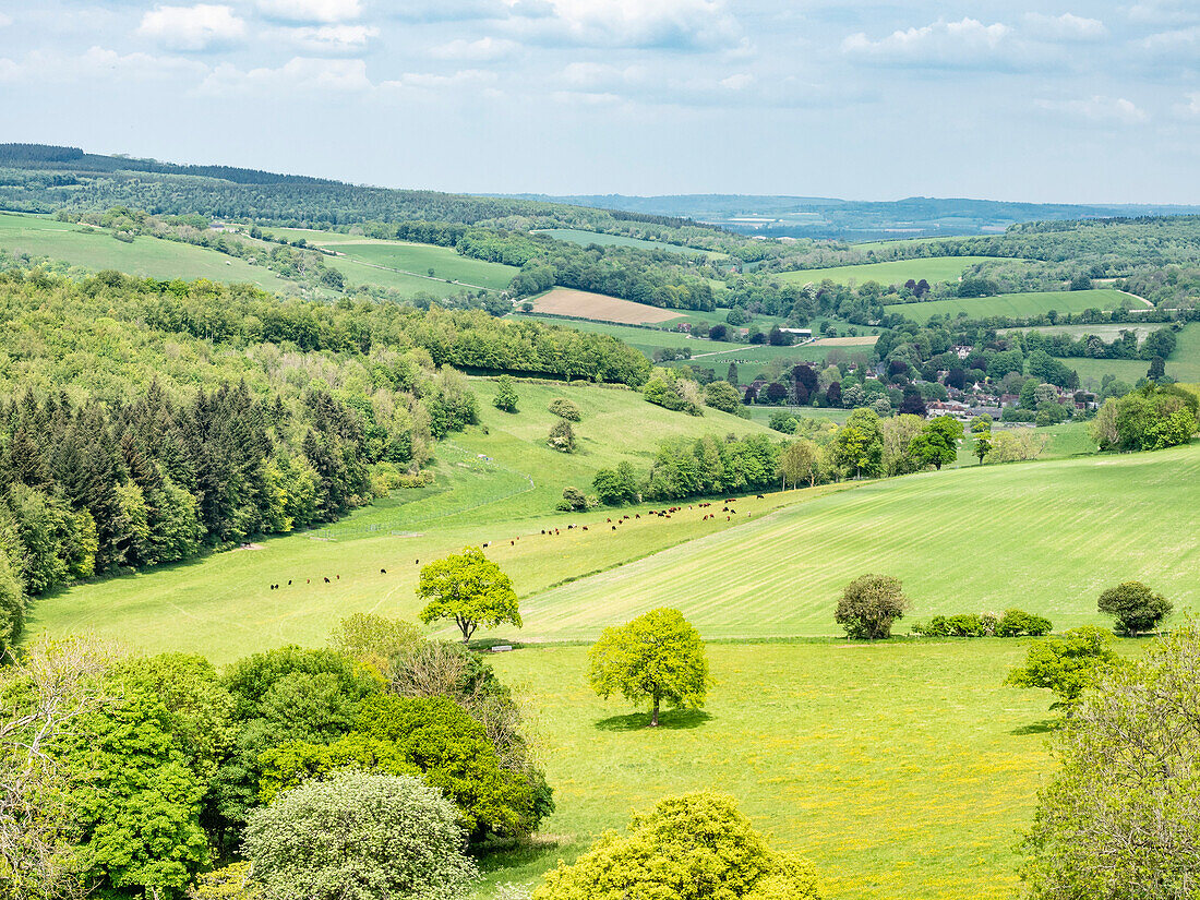 Blick von The Trundle, Goodwood, South Downs National Park, West Sussex, England, Vereinigtes Königreich, Europa