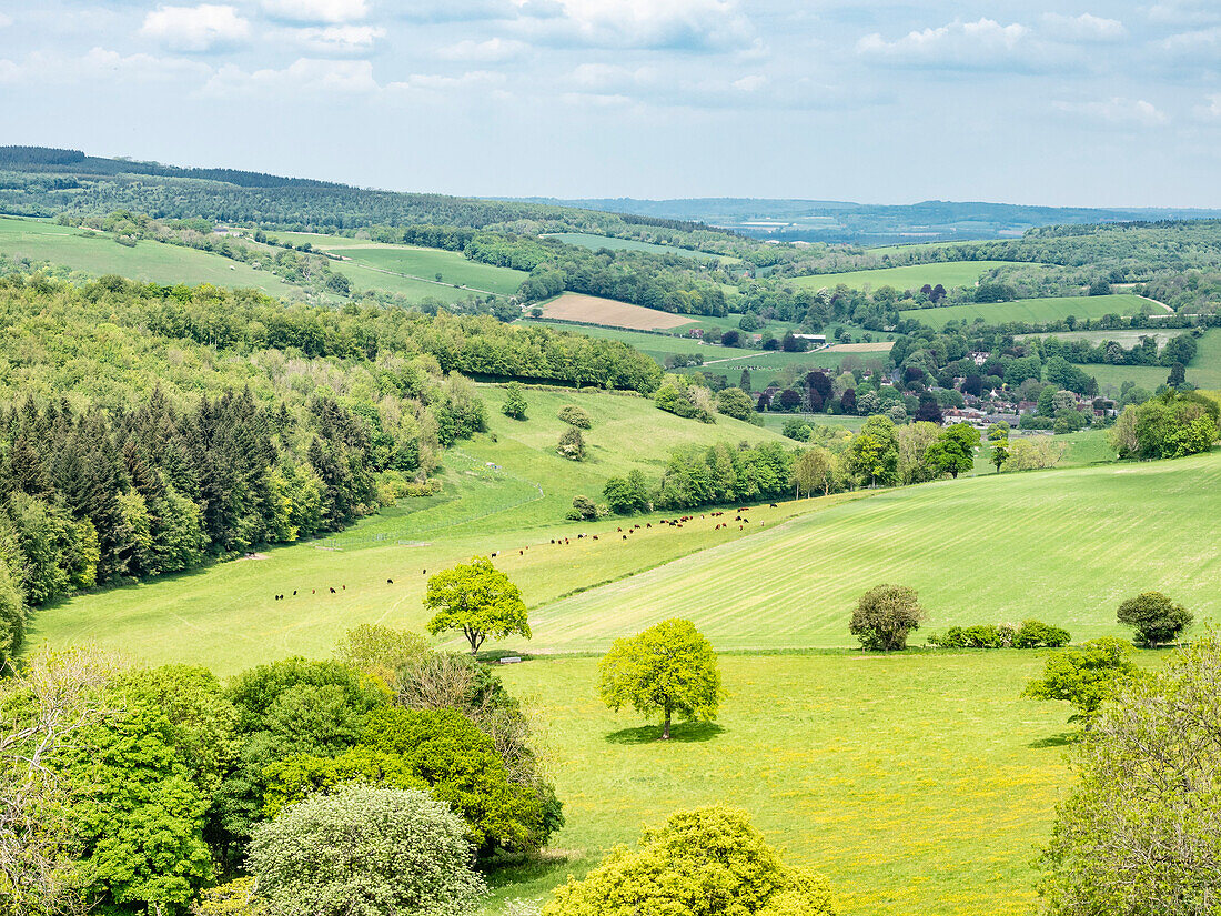 View from The Trundle, Goodwood, South Downs National Park, West Sussex, England, United Kingdom, Europe\n