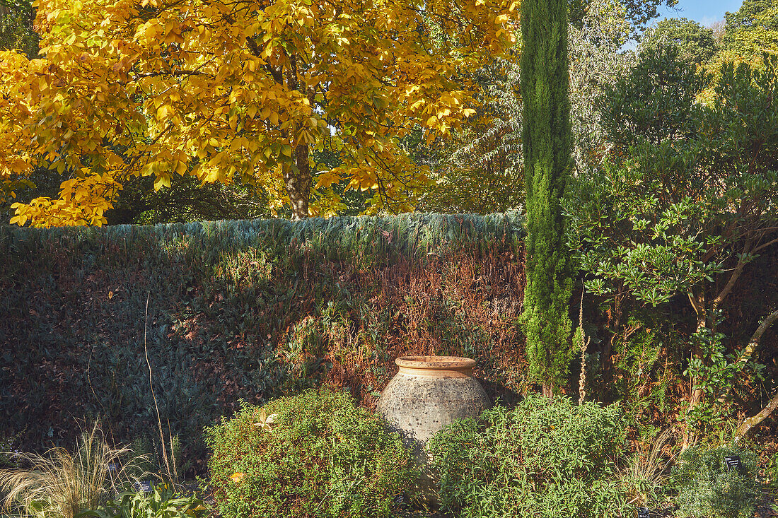Herbstfarben und Urne in einer Gruppe von Gartenbäumen und Sträuchern, RHS Rosemoor, Great Torrington, Devon, England, Vereinigtes Königreich, Europa