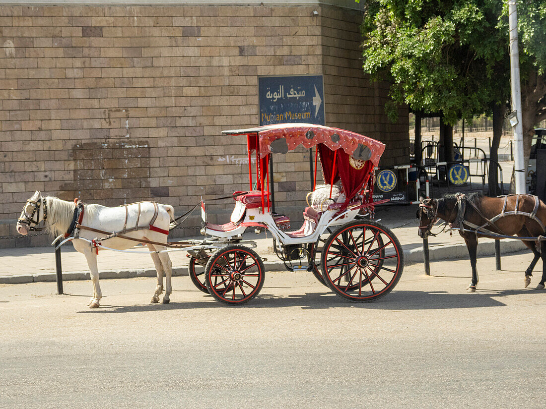 A horse drawn carriage waiting for passengers at the Nubian Museum in the city of Aswan, Egypt, North Africa, Africa\n