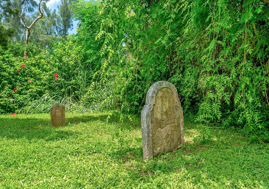 Der Sträflingsfriedhof, mit Gräbern von Sträflingen, die im 19. Jahrhundert aus Großbritannien transportiert wurden, 13 markiert, Sandys, Bermuda, Atlantik, Nordamerika