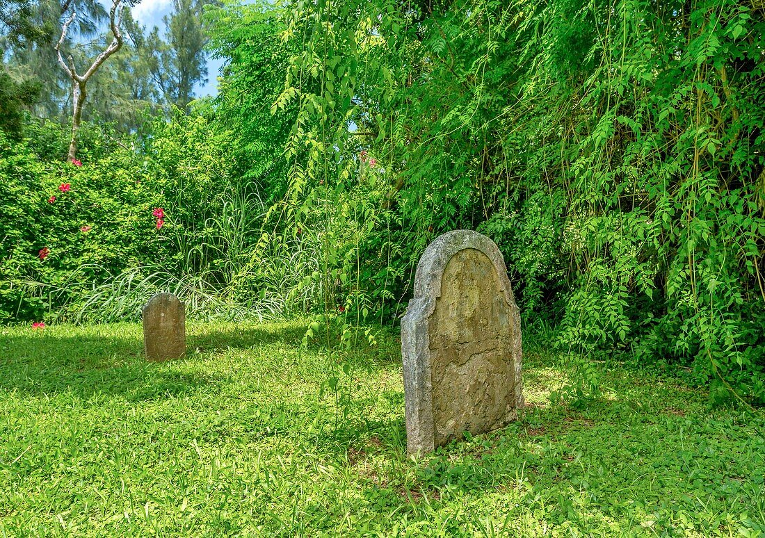 The Convict Cemetery, containing graves of 19th century convicts transported from UK, 13 marked, Sandys, Bermuda, Atlantic, North America\n