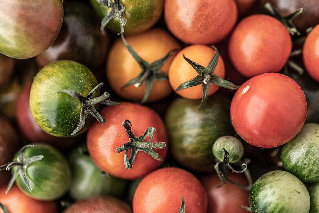 High angle view of various colorful tomatoes\n