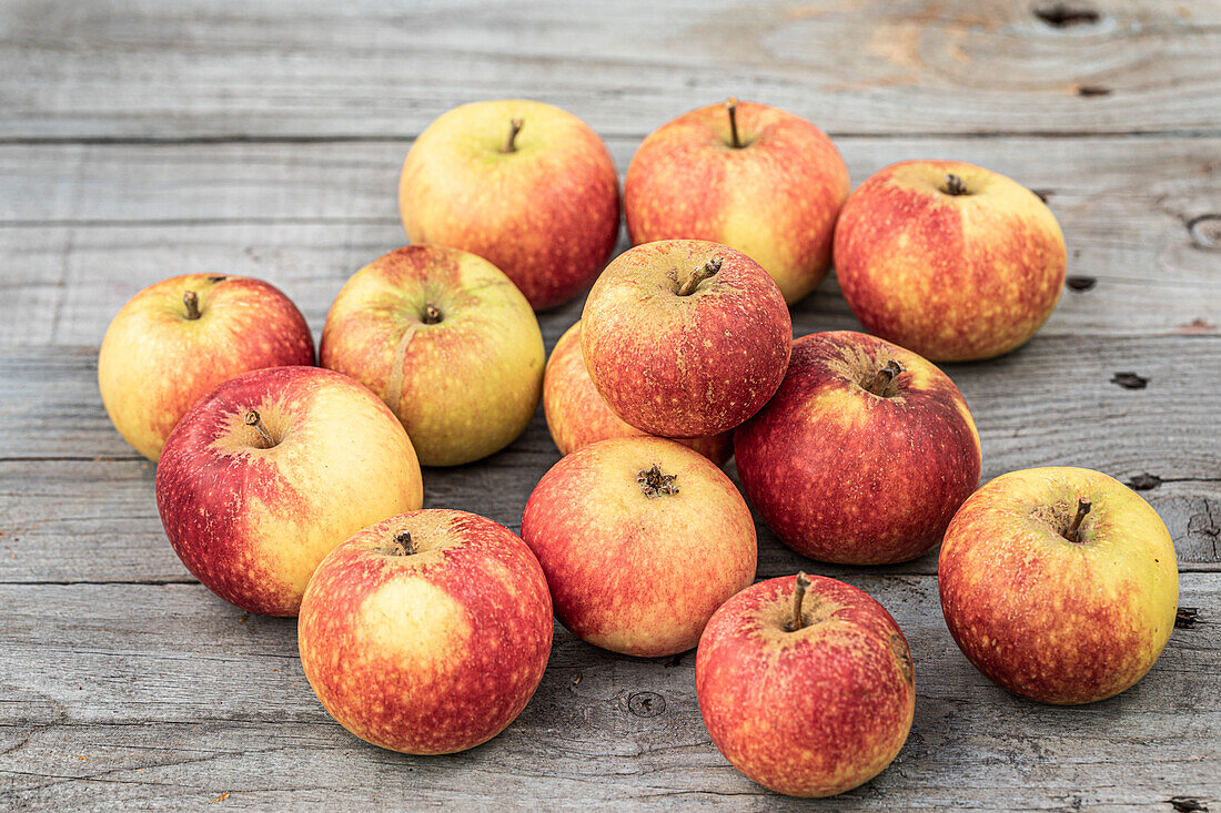 High angle view of red and yellow apples on wooden table\n