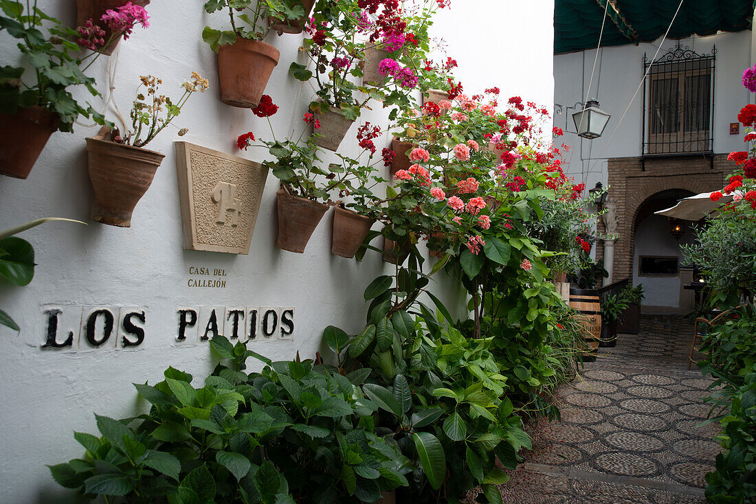 Los Patios, Cordoba, Andalusien, Spanien, Europa