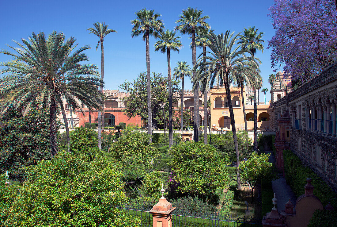 Gardens of the Alcazar, UNESCO World Heritage Site, Seville, Andalusia, Spain, Europe\n