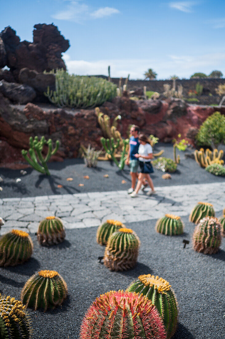 The Jardin de Cactus (Cactus garden) is a wonderful example of architectural intervention integrated into the landscape, designed by Cesar Manrique in Lanzarote, Canary Islands, Spain\n