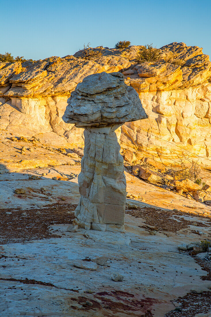 Navajo Sandstein Hoodoo Felsformation. Gebiet Head of the Rocks, Grand Staircase-Escalante National Monument, Utah.