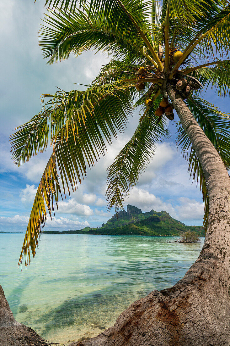 Bora-Bora, Gesellschaftsinseln, Französisch-Polynesien.