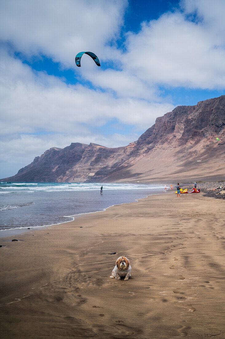 Kite-Surfer am Strand von Famara (Playa de Famara), 6 km langer goldener Sandstrand im Naturpark des Chinijo-Archipels, zwischen dem Fischerdorf La Caleta de Famara und dem Fuß der beeindruckenden Klippen von Famara, Lanzarote, Kanarische Inseln, Spanien