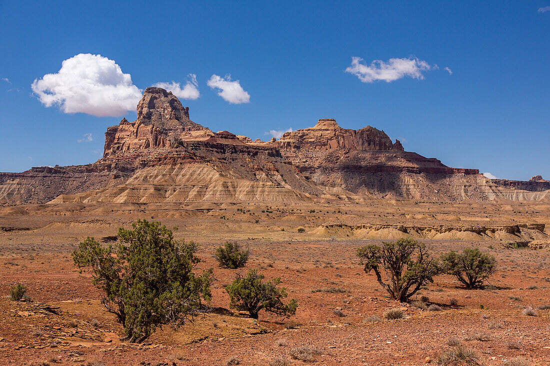 WIndow Blind Peak and Utah Juniper trees in the Mexican Mountain Wilderness Study Area on the San Rafael Swell in Utah.\n