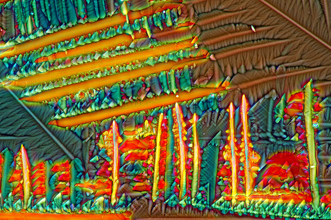 The image presents crystallized mixture of urea paracetamol and resorcinol, photographed through the microscope in polarized light at a magnification of 100X\n