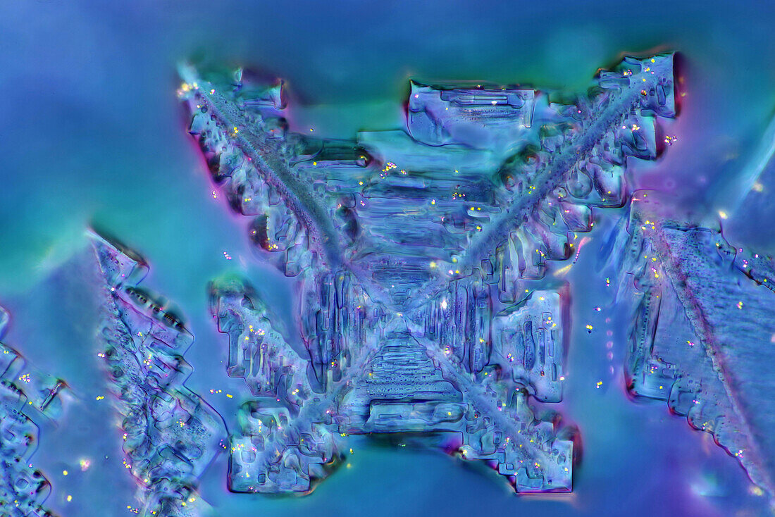 Das Bild zeigt rekristallisierten Zucker, fotografiert durch das Mikroskop in polarisiertem Licht bei einer Vergrößerung von 100X