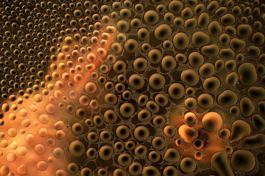Das Bild zeigt winzige Luftblasen, die durch das Mikroskop in polarisiertem Licht bei einer 100-fachen Vergrößerung fotografiert wurden