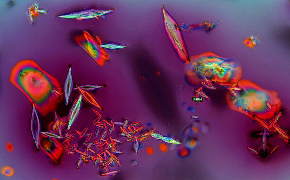 Das Bild zeigt kristallisierten Rotwein, fotografiert durch das Mikroskop in polarisiertem Licht bei einer Vergrößerung von 100X