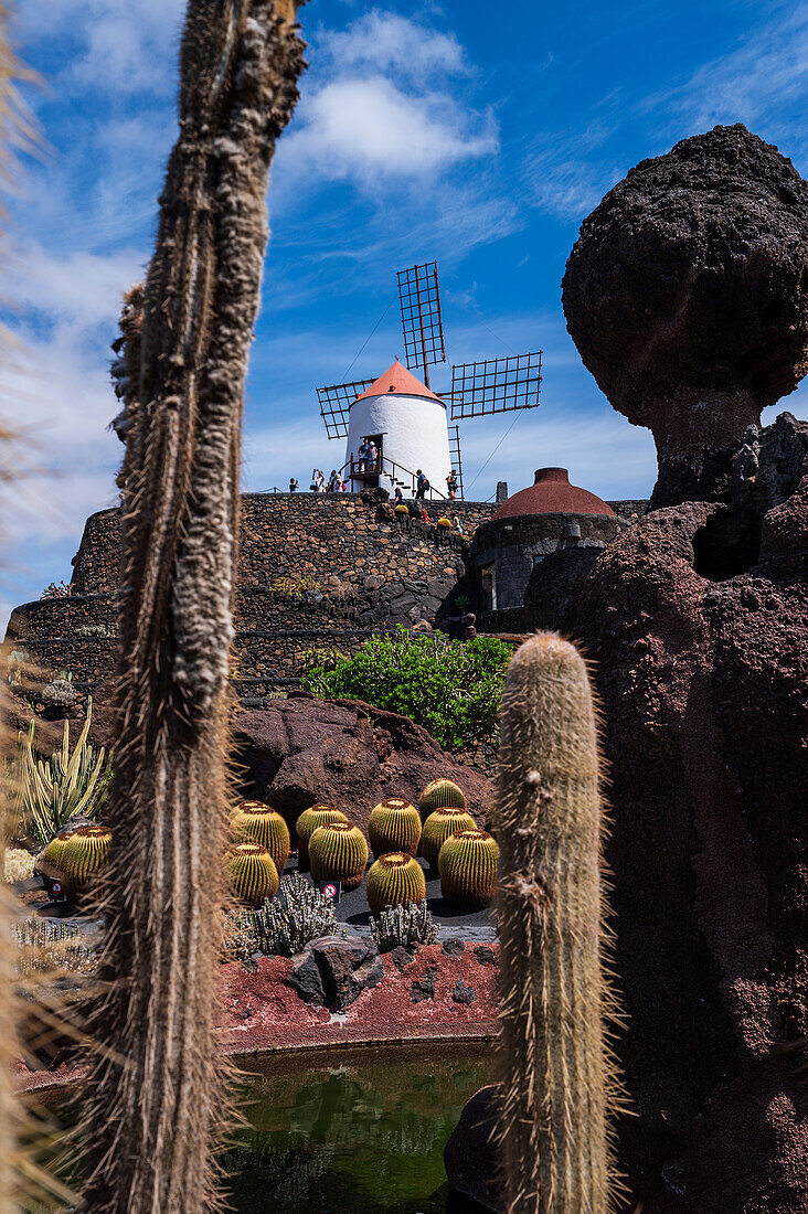 Der Jardin de Cactus (Kaktusgarten) ist ein wunderbares Beispiel für einen in die Landschaft integrierten architektonischen Eingriff, entworfen von Cesar Manrique auf Lanzarote, Kanarische Inseln, Spanien