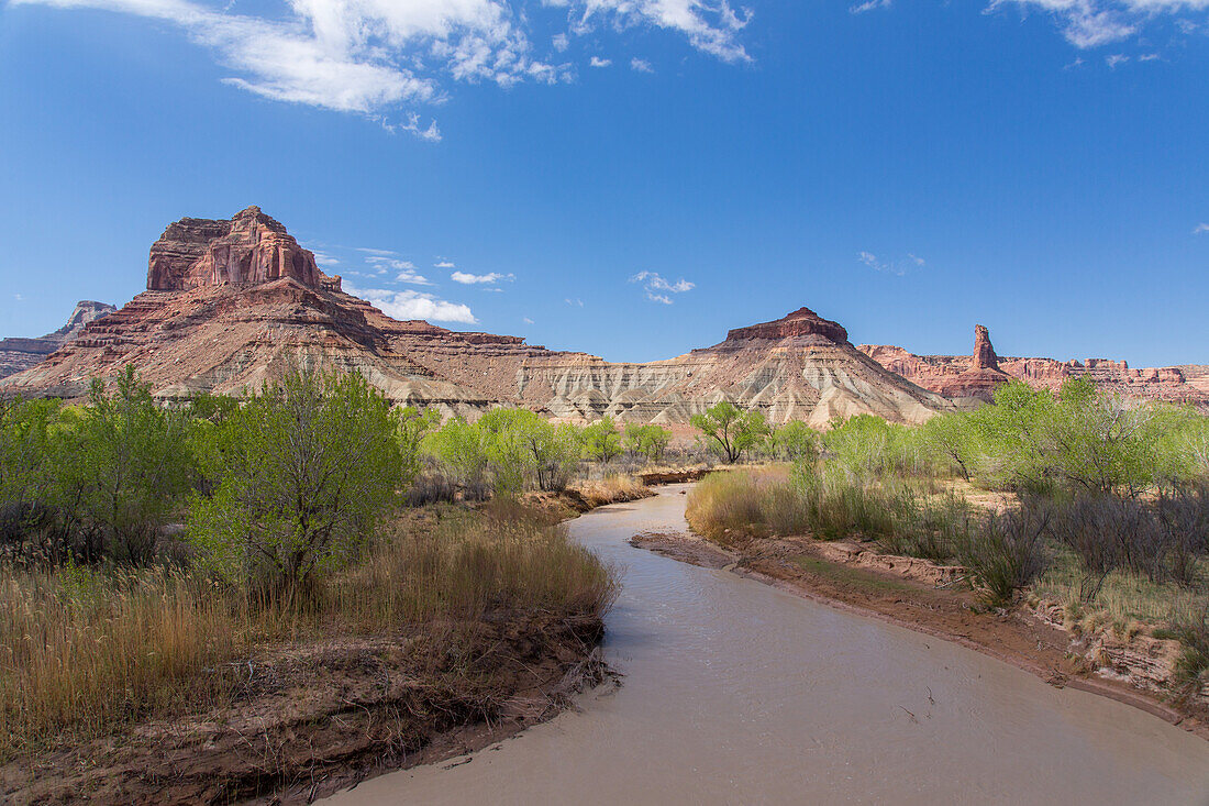 The muddy San Rafael River & Assembly Hall Peak. Mexican Mountain Wilderness Study Area on the San Rafael Swell in Utah. At right is the slender Bottleneck Peak. Cottonwood trees grow along the river.\n
