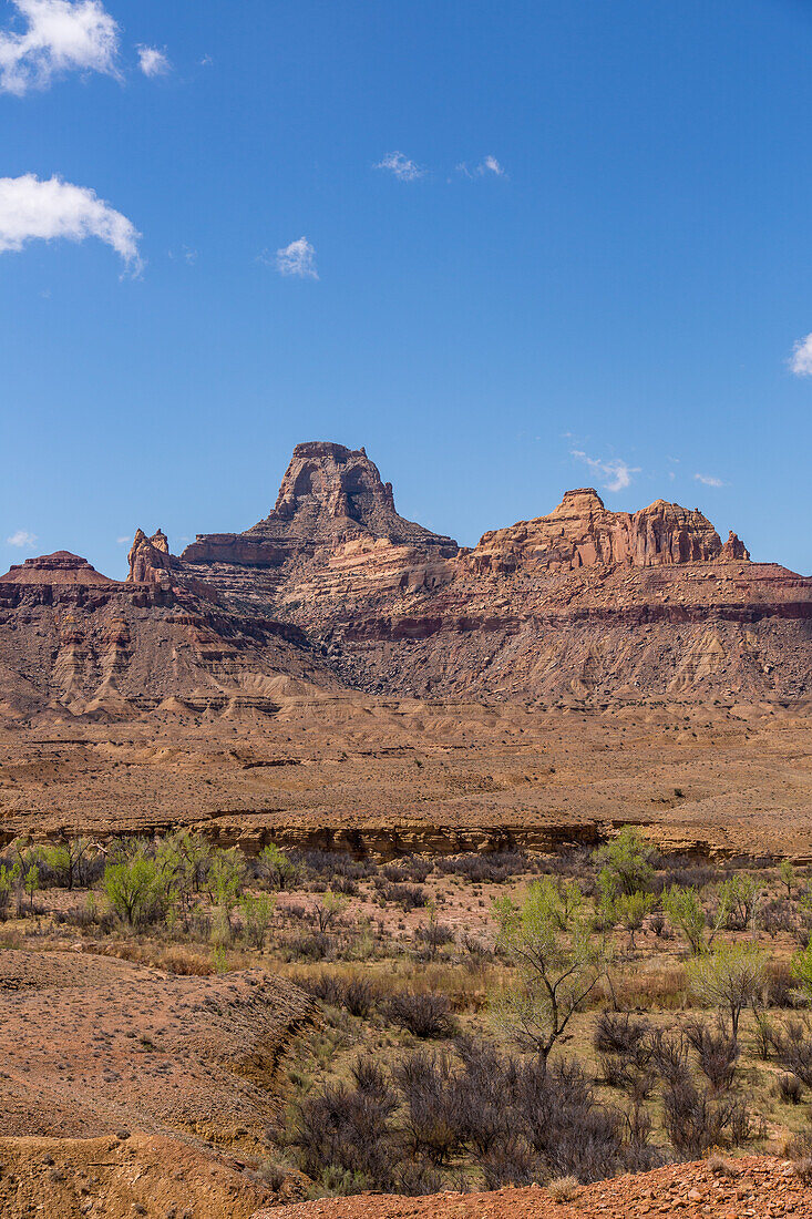 WIndow Blind Peak und Pappeln in der Mexican Mountain Wilderness Study Area auf dem San Rafael Swell in Utah.