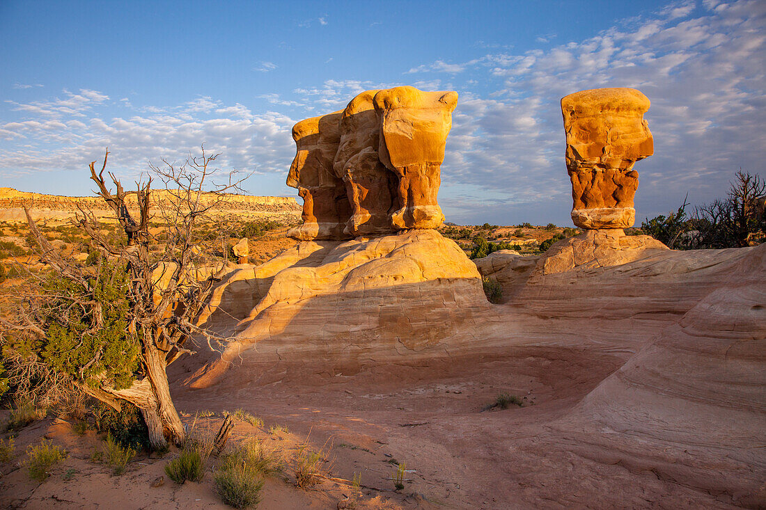 Sandstone hoodoo rock formations in the Devil's Garden in the Grand Staircase-Escalante National Monument in Utah.\n