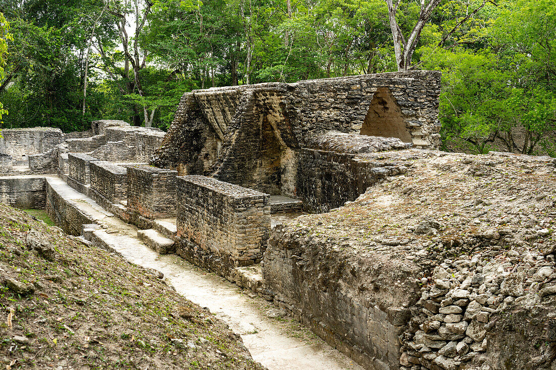Structure A3 in Plaza A in the residential complex in the Mayan ruins in the Cahal Pech Archeological Reserve, Belize.\n