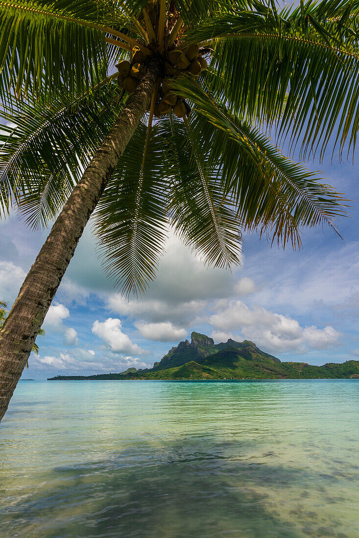 Bora-Bora, Society Islands, French Polynesia.\n