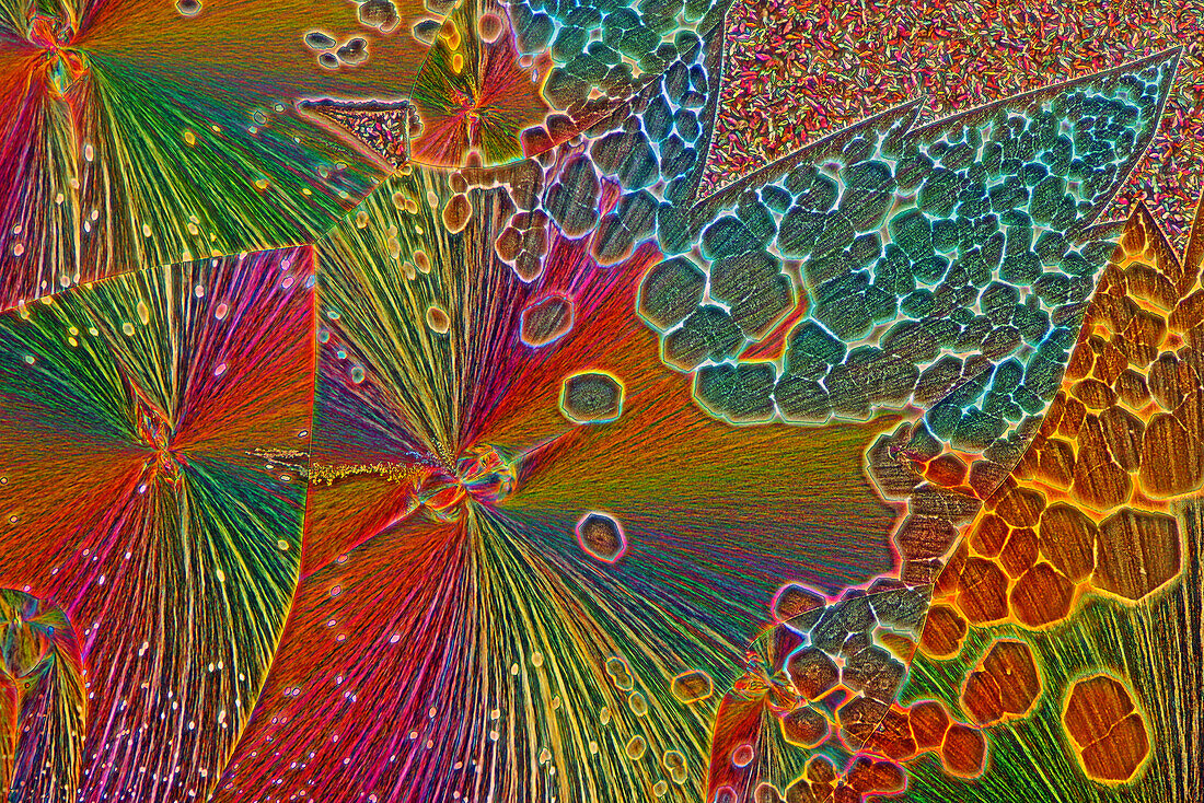 The image presents crystallized mixture of malic acid and hydroquinone photographed through the microscope in polarized light at a magnification of 100X\n