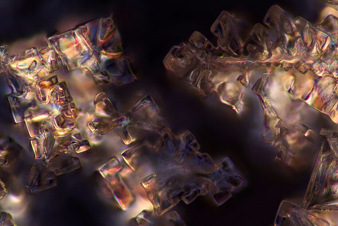 Das Bild zeigt eine kristallisierte Mischung aus Zucker und Salz, fotografiert durch das Mikroskop in polarisiertem Licht bei einer Vergrößerung von 100X