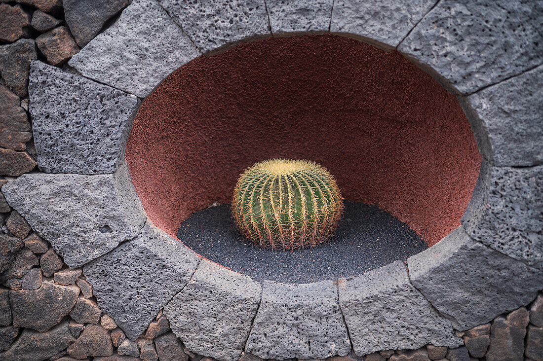 Der Jardin de Cactus (Kaktusgarten) ist ein wunderbares Beispiel für einen in die Landschaft integrierten architektonischen Eingriff, entworfen von Cesar Manrique auf Lanzarote, Kanarische Inseln, Spanien