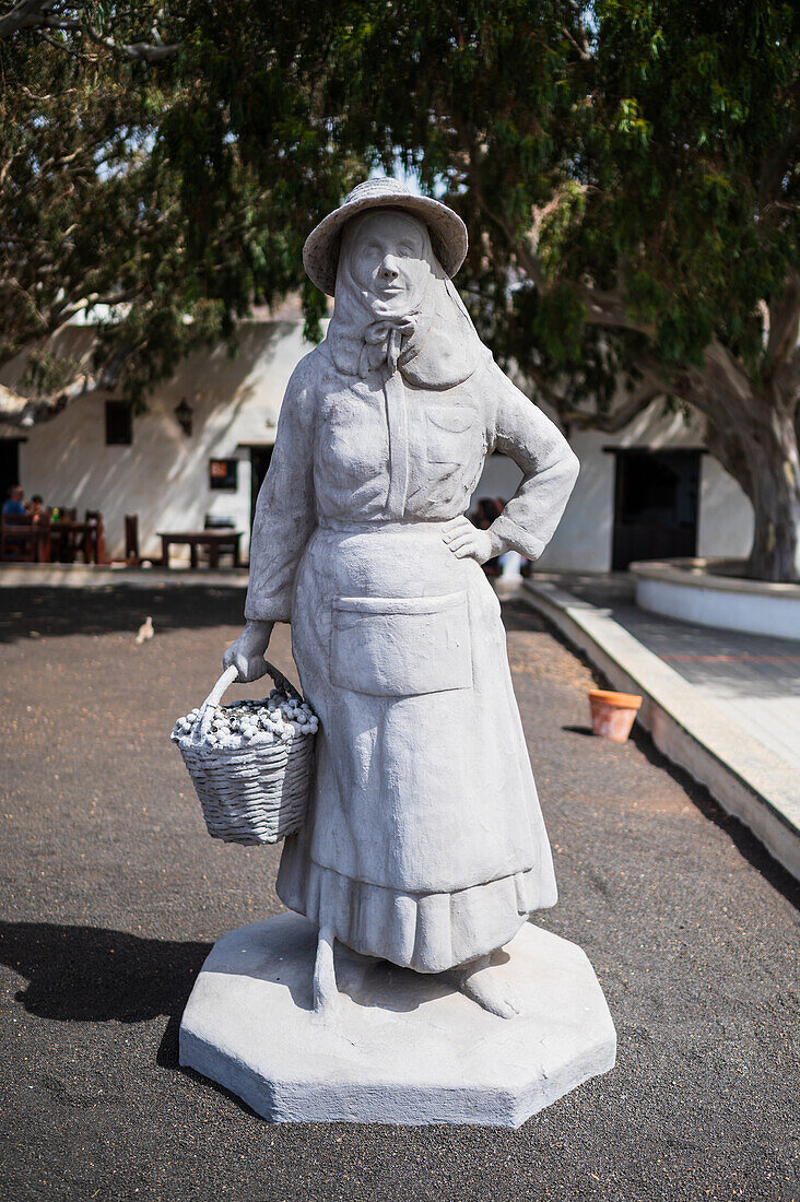 La Geria, Lanzarote's main wine region, Canary Islands, Spain\n