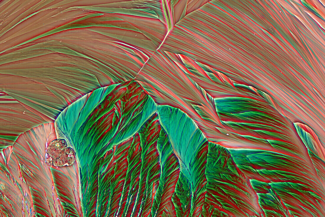 Das Bild zeigt kristallisiertes Resorcin, fotografiert durch das Mikroskop in polarisiertem Licht bei einer Vergrößerung von 100X