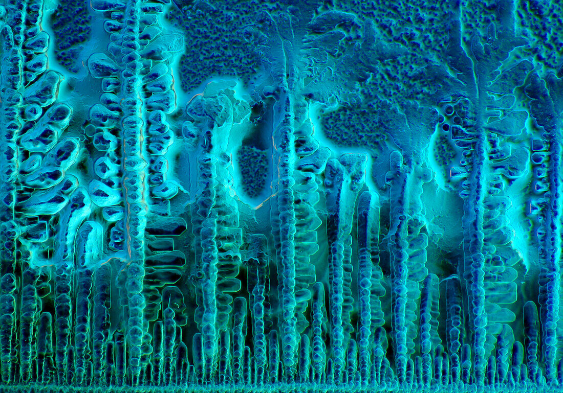 Das Bild zeigt kristallisierte Sojasauce, fotografiert durch das Mikroskop in polarisiertem Licht bei einer Vergrößerung von 100X