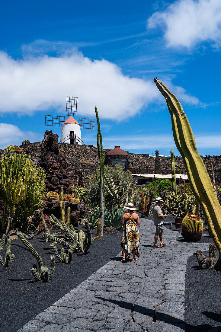 Der Jardin de Cactus (Kaktusgarten) ist ein wunderbares Beispiel für einen in die Landschaft integrierten architektonischen Eingriff, entworfen von Cesar Manrique auf Lanzarote, Kanarische Inseln, Spanien