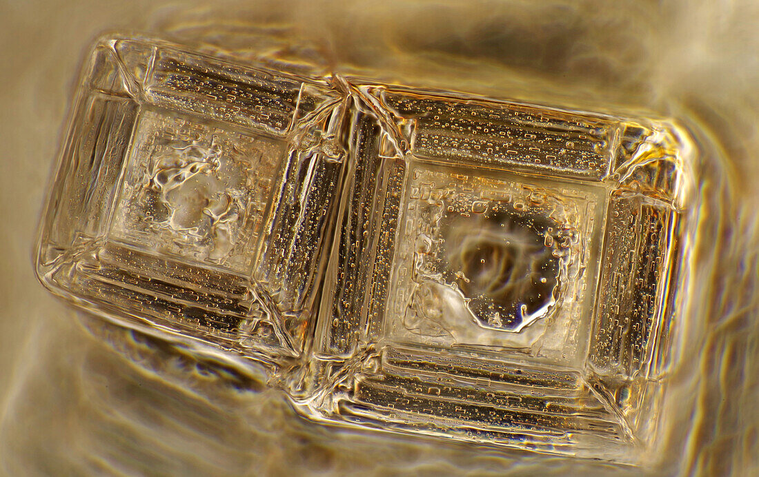 The image presents crystals of recrystallized kitchen salt, photographed through the microscope in polarized light at a magnification of 100X\n