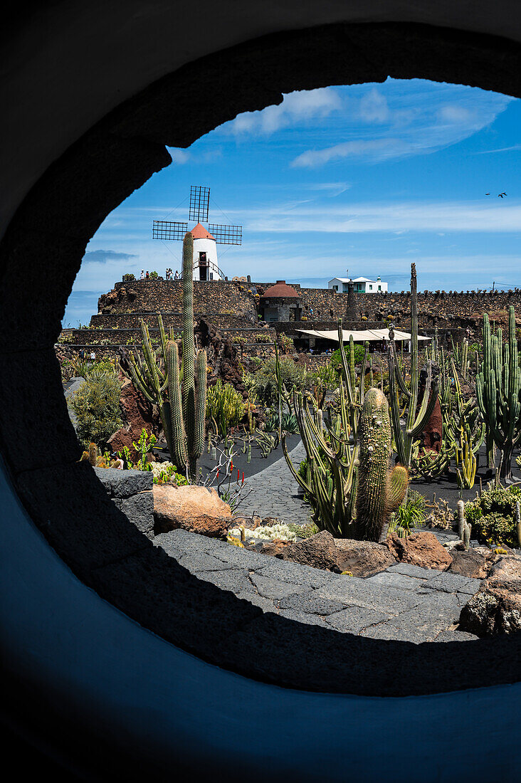 The Jardin de Cactus (Cactus garden) is a wonderful example of architectural intervention integrated into the landscape, designed by Cesar Manrique in Lanzarote, Canary Islands, Spain\n