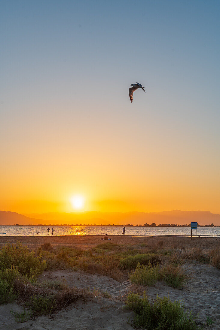 Sunset at Trabucador beach, Ebro Delta, Tarragona, Spain\n