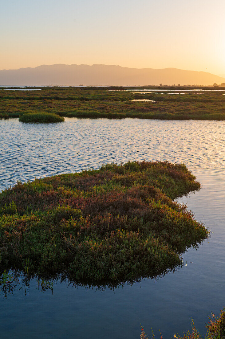 Ebro Delta, delta region of the Ebro River in the southwest of the Province of Tarragona, Catalonia, Spain\n