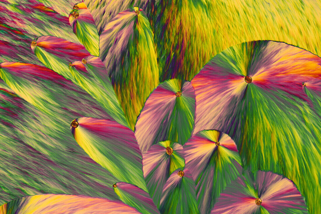 Das Bild zeigt eine kristallisierte Mischung aus Erythritol und Paracetamol, fotografiert durch das Mikroskop in polarisiertem Licht bei einer Vergrößerung von 100X