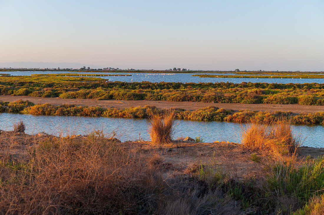 Ebro-Delta, Deltaregion des Flusses Ebro im Südwesten der Provinz Tarragona, Katalonien, Spanien