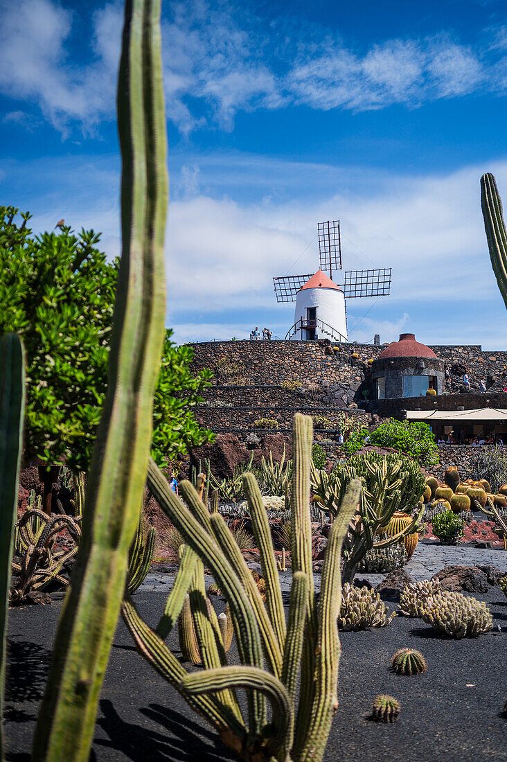 The Jardin de Cactus (Cactus garden) is a wonderful example of architectural intervention integrated into the landscape, designed by Cesar Manrique in Lanzarote, Canary Islands, Spain\n