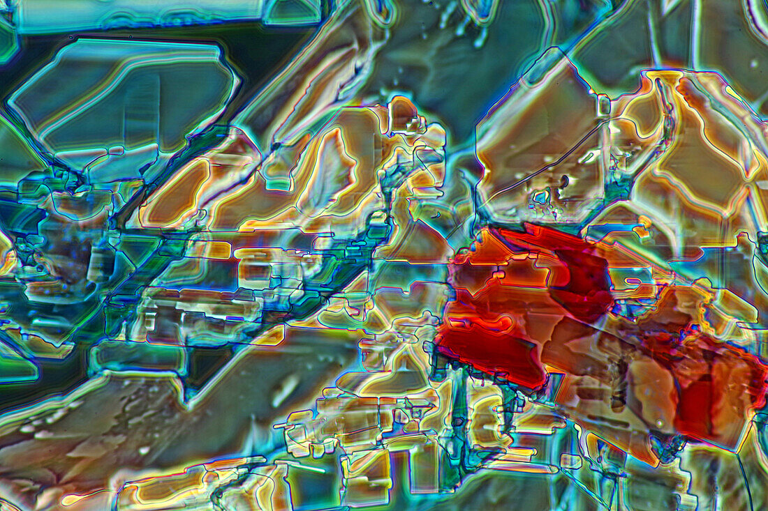 The image presents crystallized glycinel, photographed through the microscope in polarized light at a magnification of 100X\n