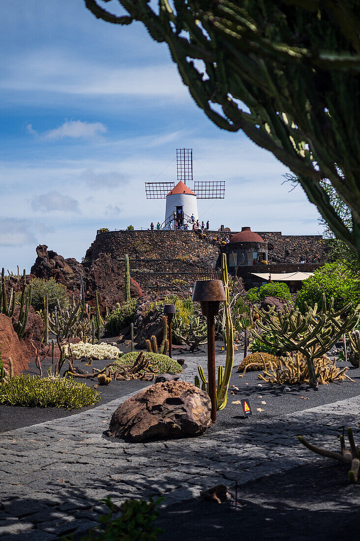 The Jardin de Cactus (Cactus garden) is a wonderful example of architectural intervention integrated into the landscape, designed by Cesar Manrique in Lanzarote, Canary Islands, Spain\n