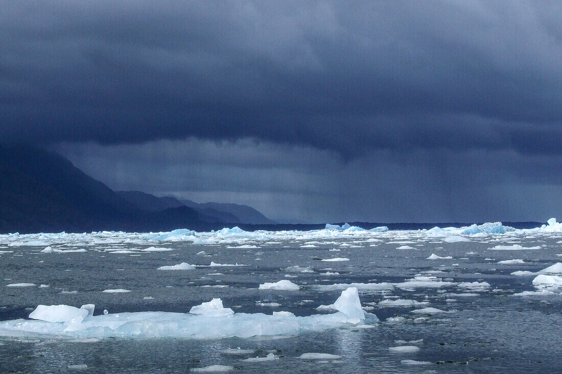 Icebergs from the San Rafael Glacier in the San Rafael Lagoon in Laguna San Rafael National Park, Chile.\n