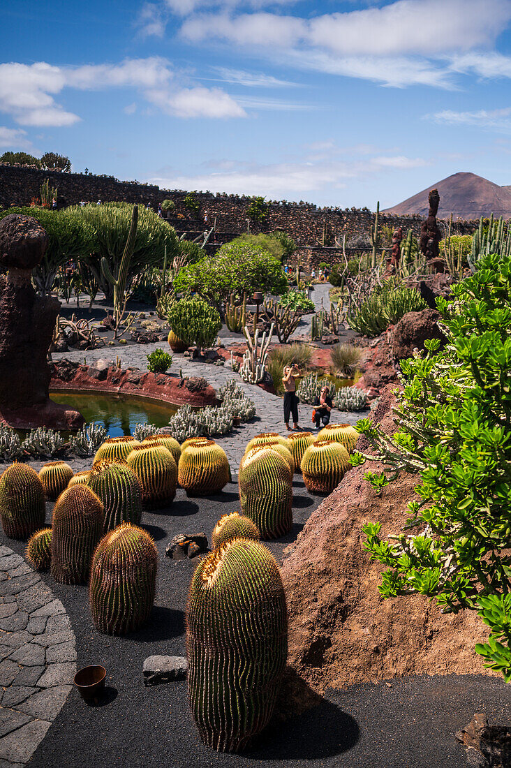 Der Jardin de Cactus (Kaktusgarten) ist ein wunderbares Beispiel für einen in die Landschaft integrierten architektonischen Eingriff, entworfen von Cesar Manrique in Lanzarote, Kanarische Inseln, Spanien