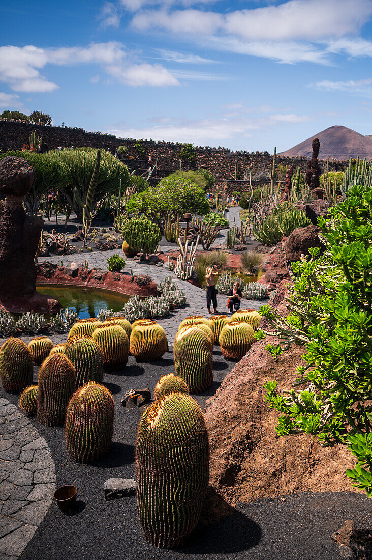 The Jardin de Cactus (Cactus garden) is a wonderful example of architectural intervention integrated into the landscape, designed by Cesar Manrique in Lanzarote, Canary Islands, Spain\n