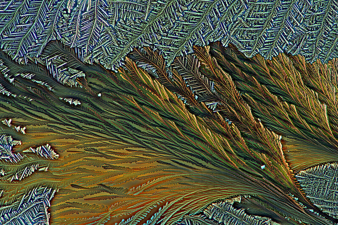 Das Bild zeigt ein kristallisiertes Gemisch aus Harnstoff und Paracetamol, aufgenommen durch das Mikroskop in polarisiertem Licht bei einer 100-fachen Vergrößerung