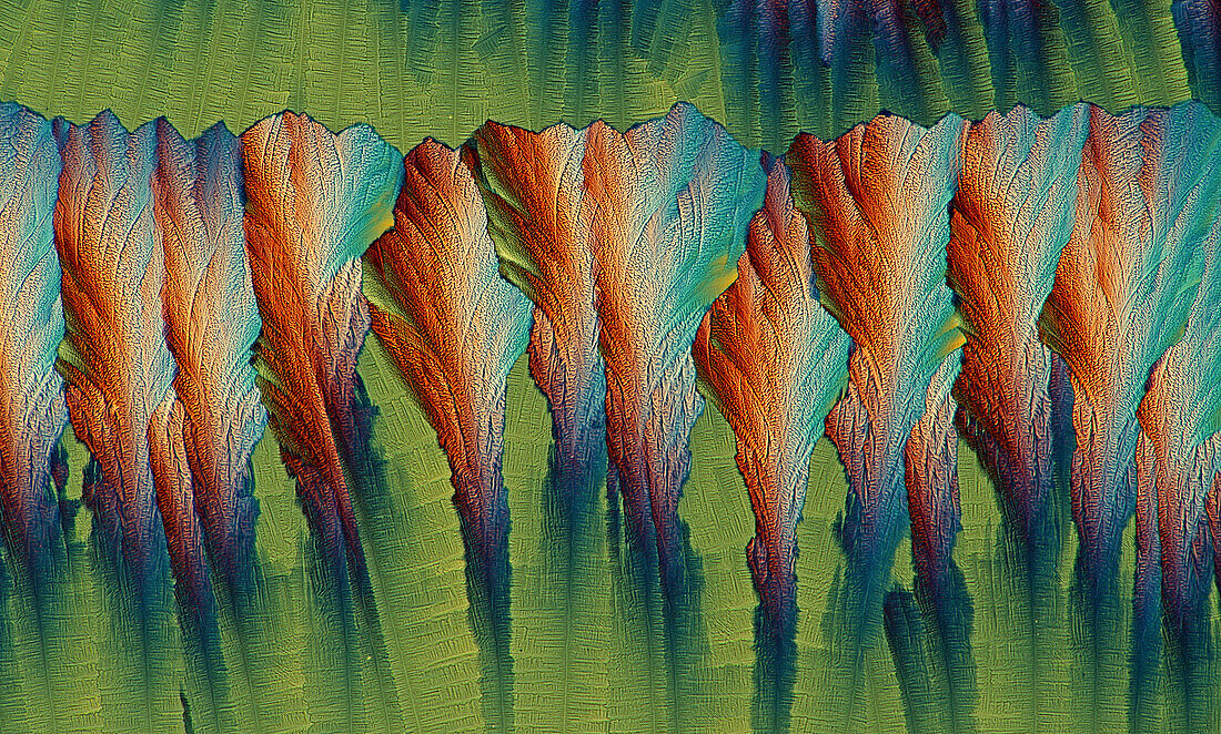 Das Bild zeigt eine kristallisierte Mischung aus Harnstoff und Paracetamol, fotografiert durch das Mikroskop in polarisiertem Licht bei einer Vergrößerung von 100X